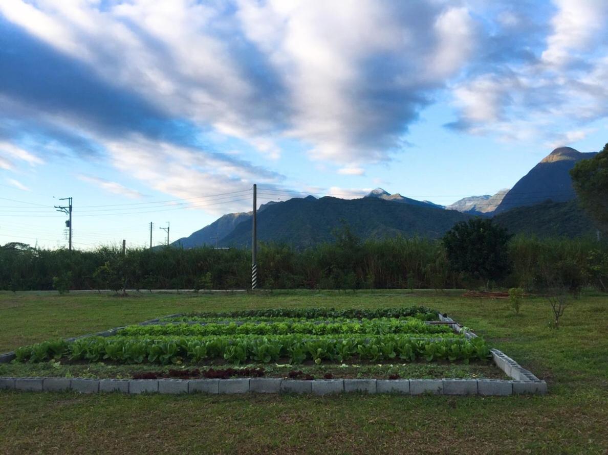 Taroko Formosa Homestay Xiulin Esterno foto