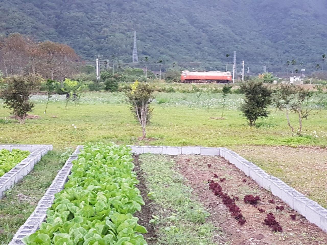 Taroko Formosa Homestay Xiulin Esterno foto